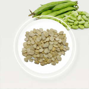 🌱 Broad Beans – Nutritious & Hardy Legume from Africa