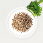 🌿 Coriander Seeds (Coriandrum sativum) – Fragrant, Citrusy & Versatile Spice