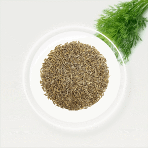 πΏ Cumin Seeds (Cuminum cyminum) β Aromatic, Earthy & Essential Spice