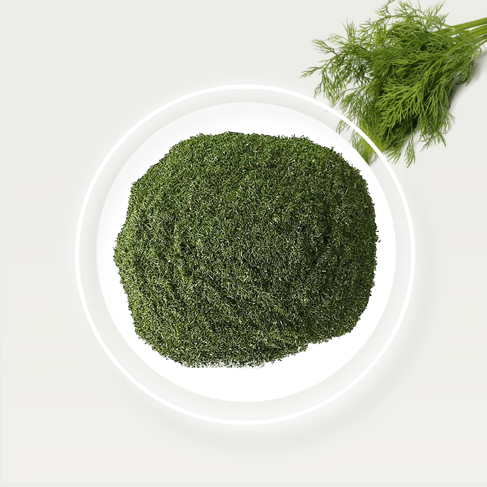 🌿 Dill (Anethum Graveolens) – Mediterranean Flavor, African Touch