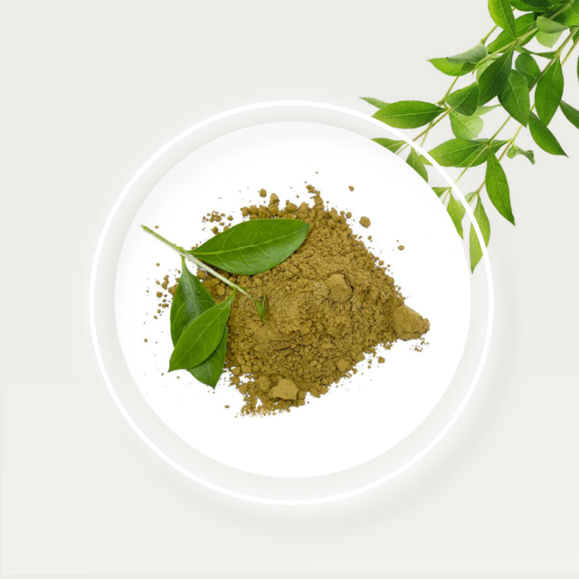 🌿 Henna (Lawsonia alba) – Ancient Natural Dye & Beauty Secret