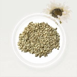 🌻 Sunflower Seeds – Nutrient-Dense Superfood for Health & Immunity