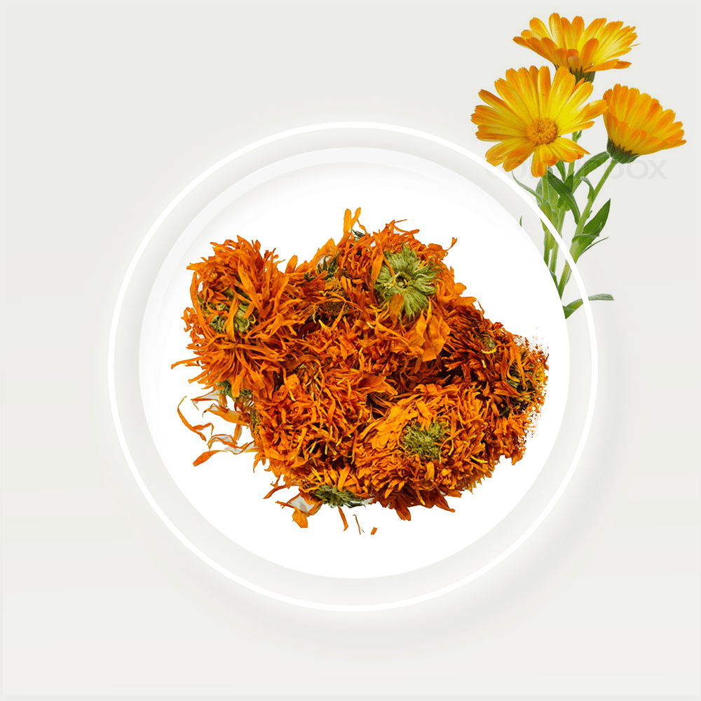 Calendula-Flowers