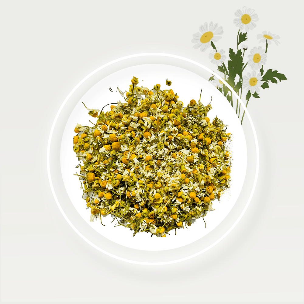 Chamomile-Flowers