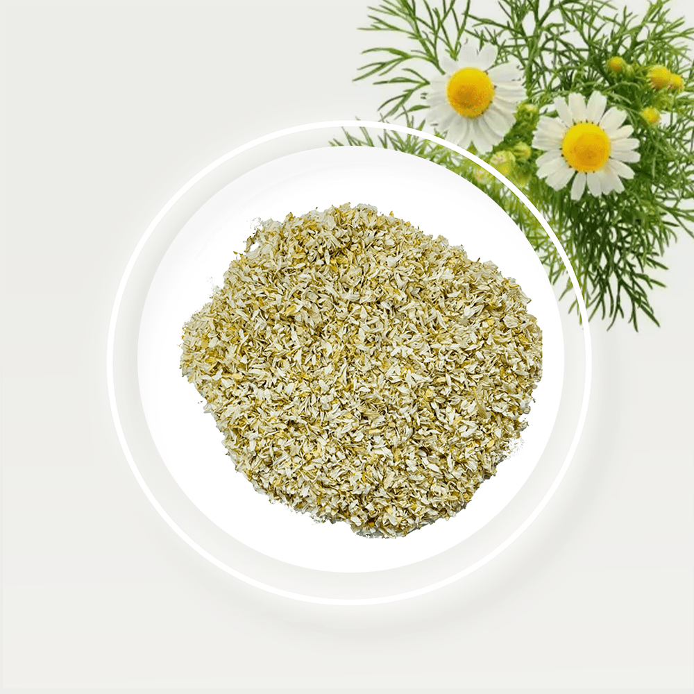 Chamomile