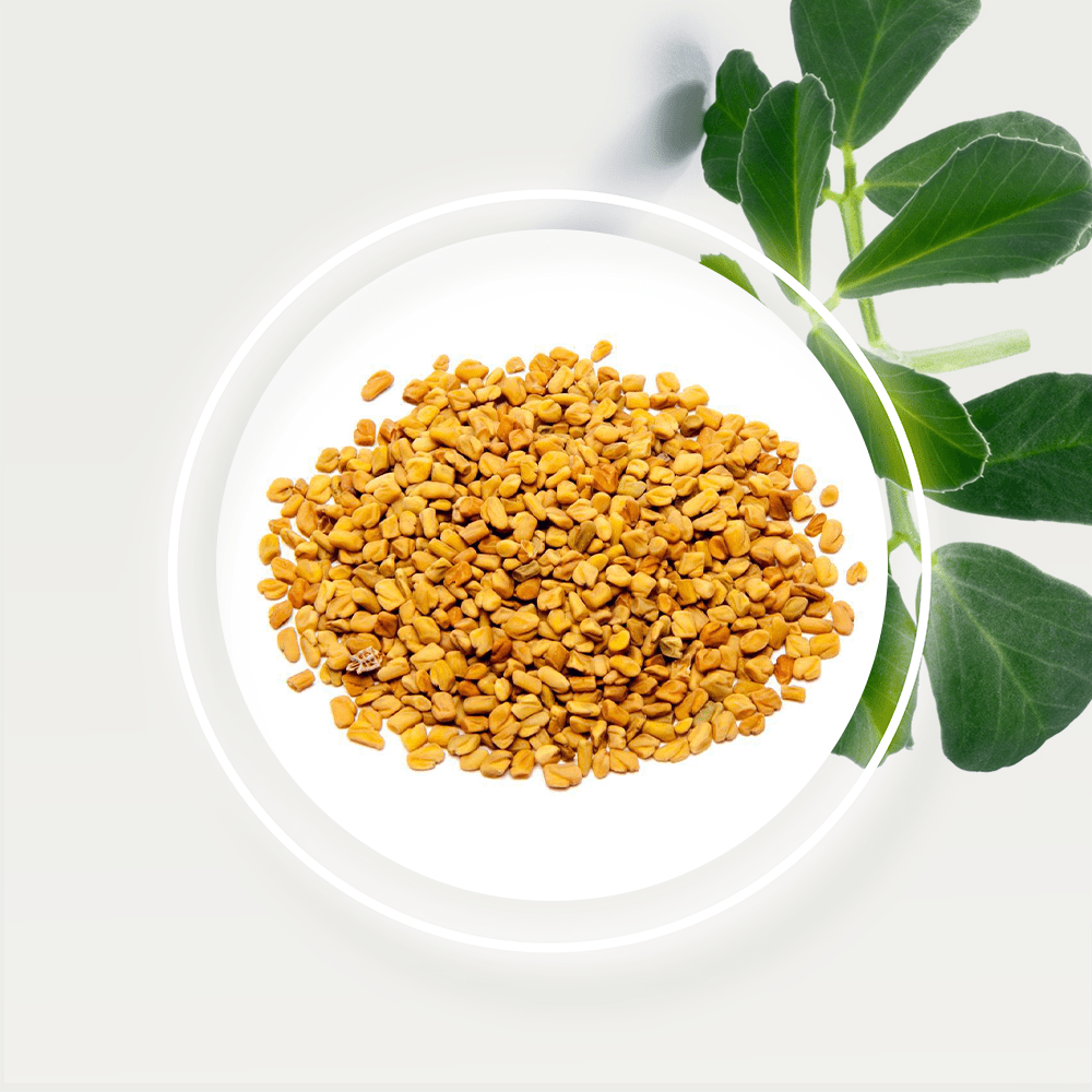 Fenugreek-Seeds
